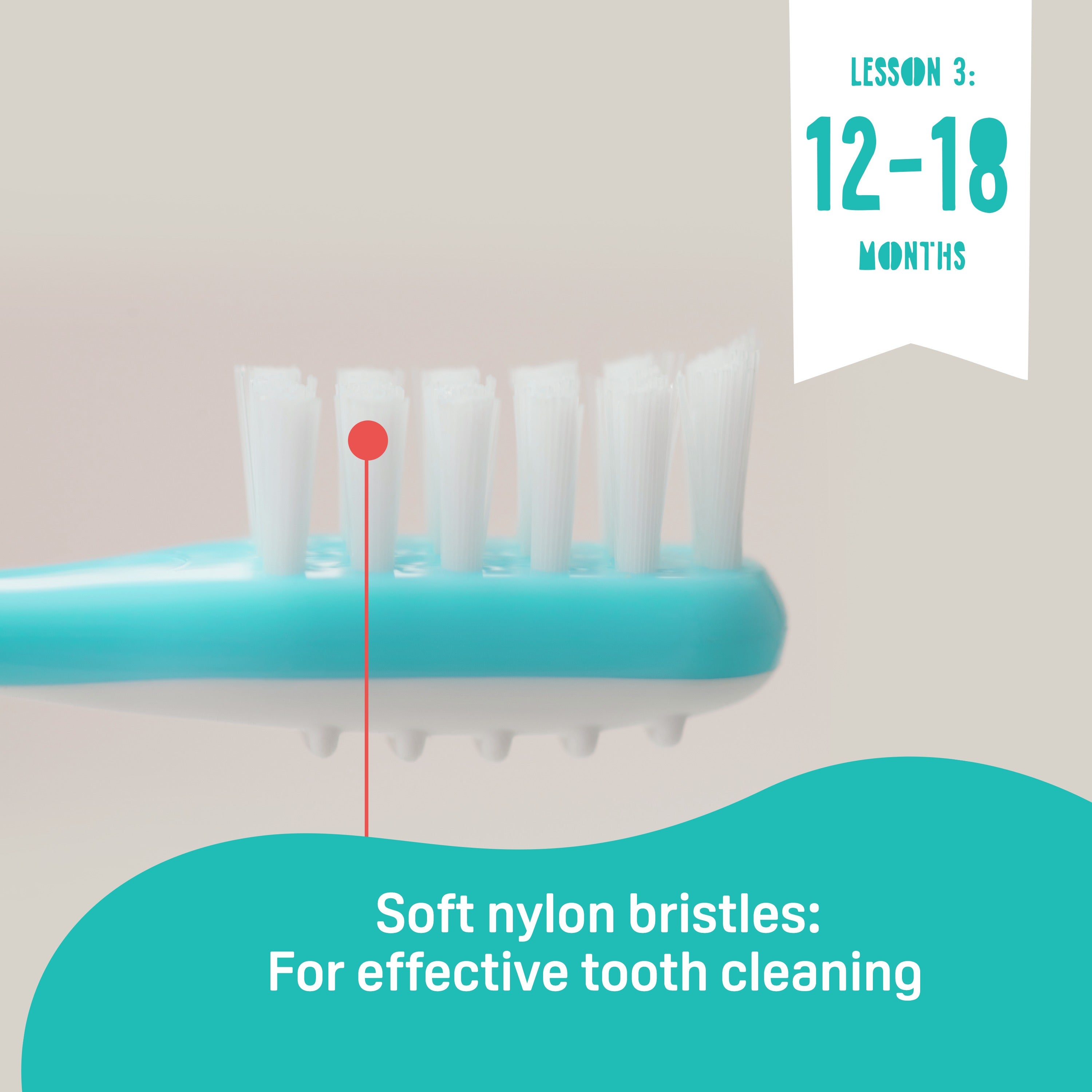 Pigeon Baby Training Toothbrush, Lesson 3 for 12M+